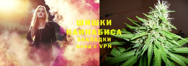 винт Алексин