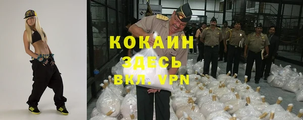 гашик Алзамай