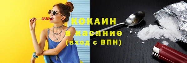 гашик Алзамай