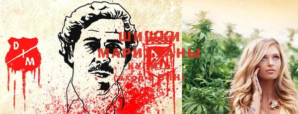 гашик Алзамай