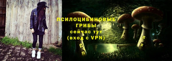 гашик Алзамай